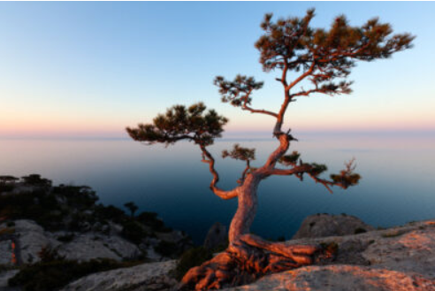 Spring in Crimea is the time for traveling