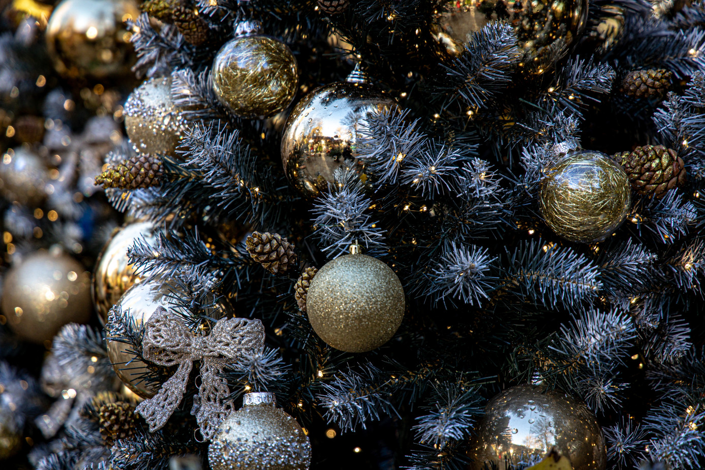 О сокровенных детских мечтах, новогодних костюмах и желаниях Деду Морозу: интервью с известными крымчанами 