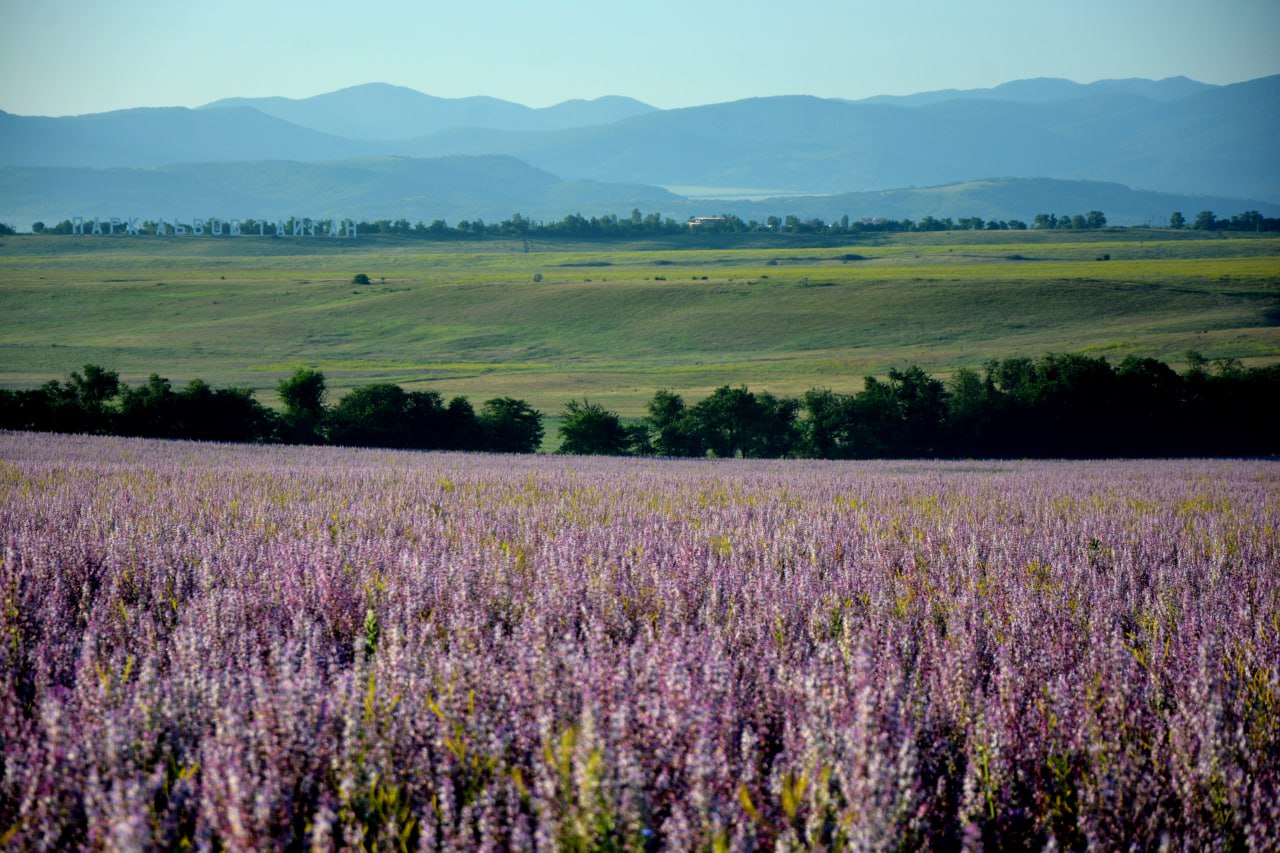 На форуме «АгроПромСтрой-2026» обсудят развитие агротуризма в Крыму