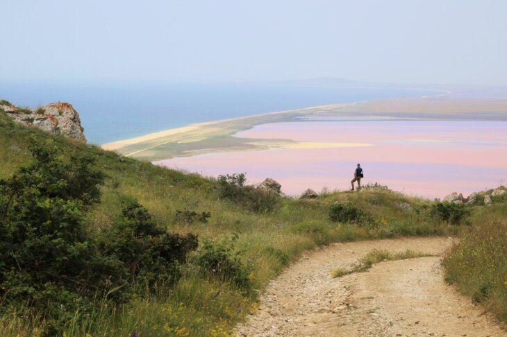 "Природа заштопала раны": как восстанавливается Опукский заповедник 